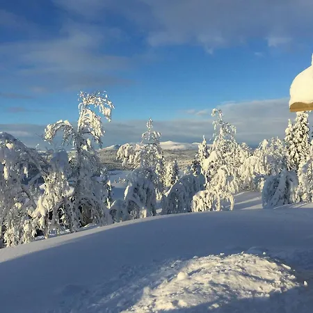 Log With Views Of Jotunheimen Mountains
